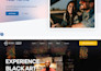 do modern, responsive wordpress website design  world level